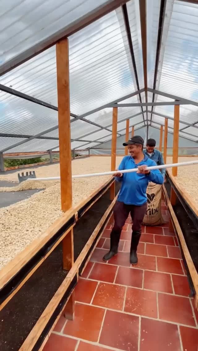 Proceso del café y sus productores